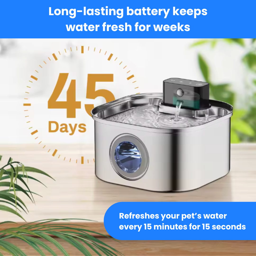 Sippo™ Water Fountain