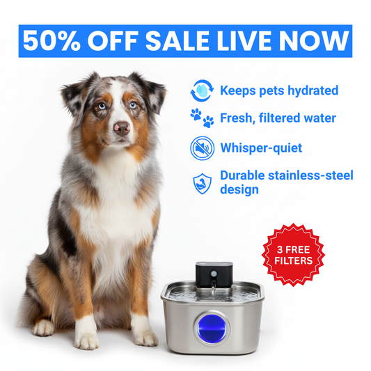 Sippo™ Water Fountain