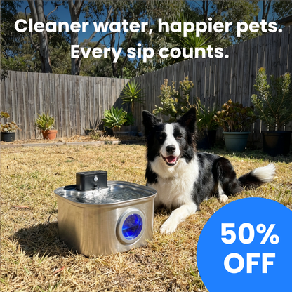 Sippo™ Water Fountain