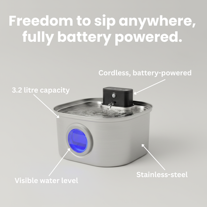 Sippo™ Water Fountain