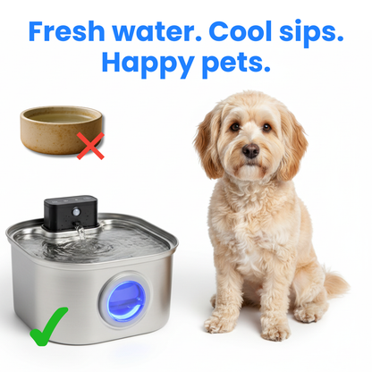 Sippo™ Water Fountain