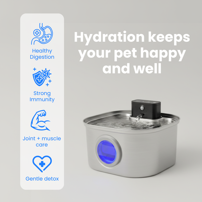 Sippo™ Water Fountain