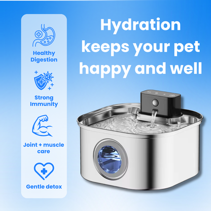Sippo - Pet Water Fountain