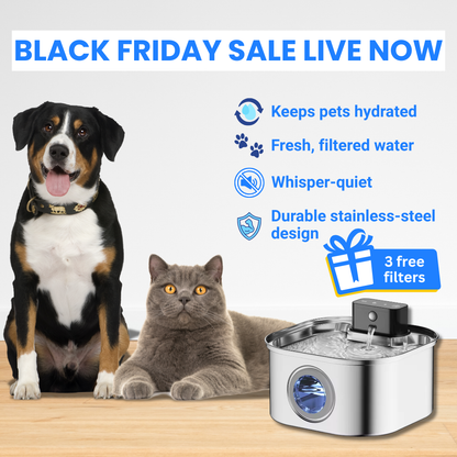 Sippo™ Water Fountain