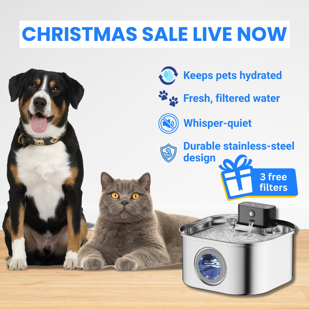 Sippo™ Water Fountain